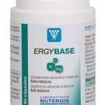 Ergybase Ergybase